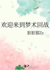 欢迎来到梦术回战